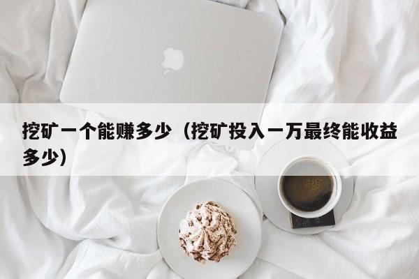 挖矿一个能赚多少(挖矿投入一万最终能收益多少)