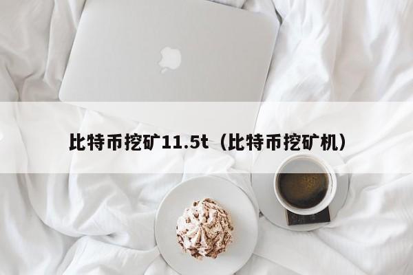 比特币挖矿11.5t(比特币挖矿机)